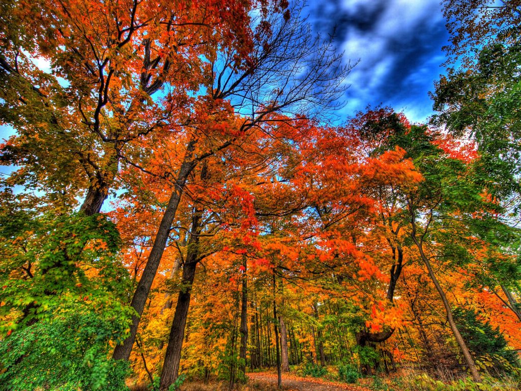 Resize 2981387336_7e9b61774b_o
